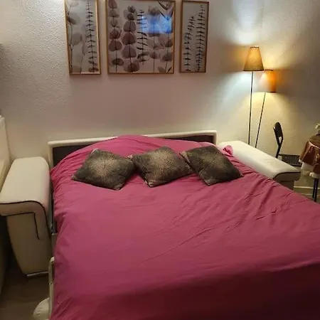 Pla D'adet Aux Pieds Des Pistes Appartamento *