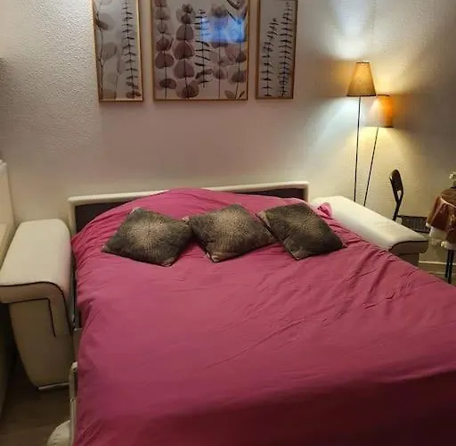 Pla D'adet Aux Pieds Des Pistes Апартаменты *